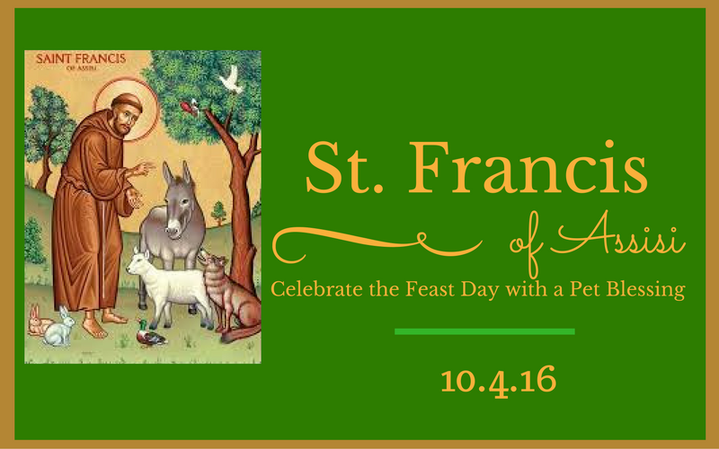 Bless Your Pets on the Feast of St. Francis of Assisi Saint Patrick